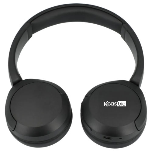 KCAS Bio - Sony WH-CH250 Wireless Headphone with Microphone